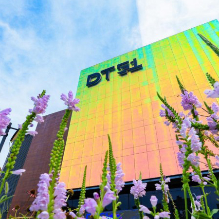 DT51金秋活动持续升温 多元体验丰富周末生活