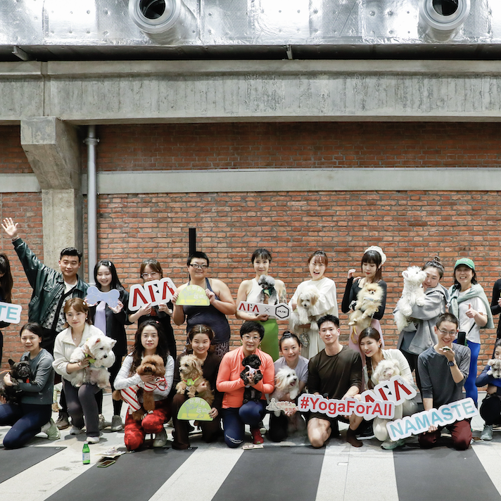 从萌宠瑜伽到摇滚现场，上海地标ROJO艺文空间多元活动点燃十一月城市文化生活