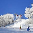 威斯汀酒店及度假村邀宾客畅享冬季活力之旅