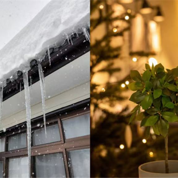 冬日里的暖意 花王“润”心相伴