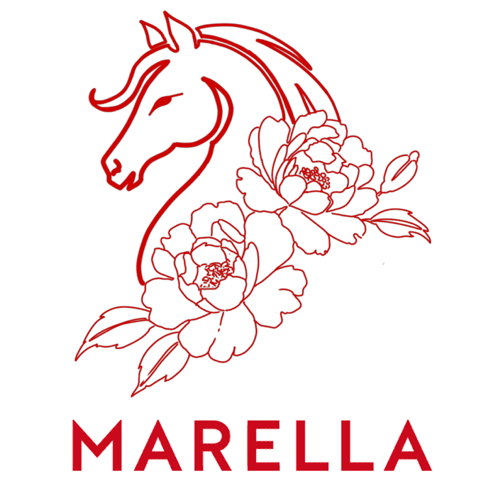 MARELLA 2026新春系列 舞马新春，驭火承光