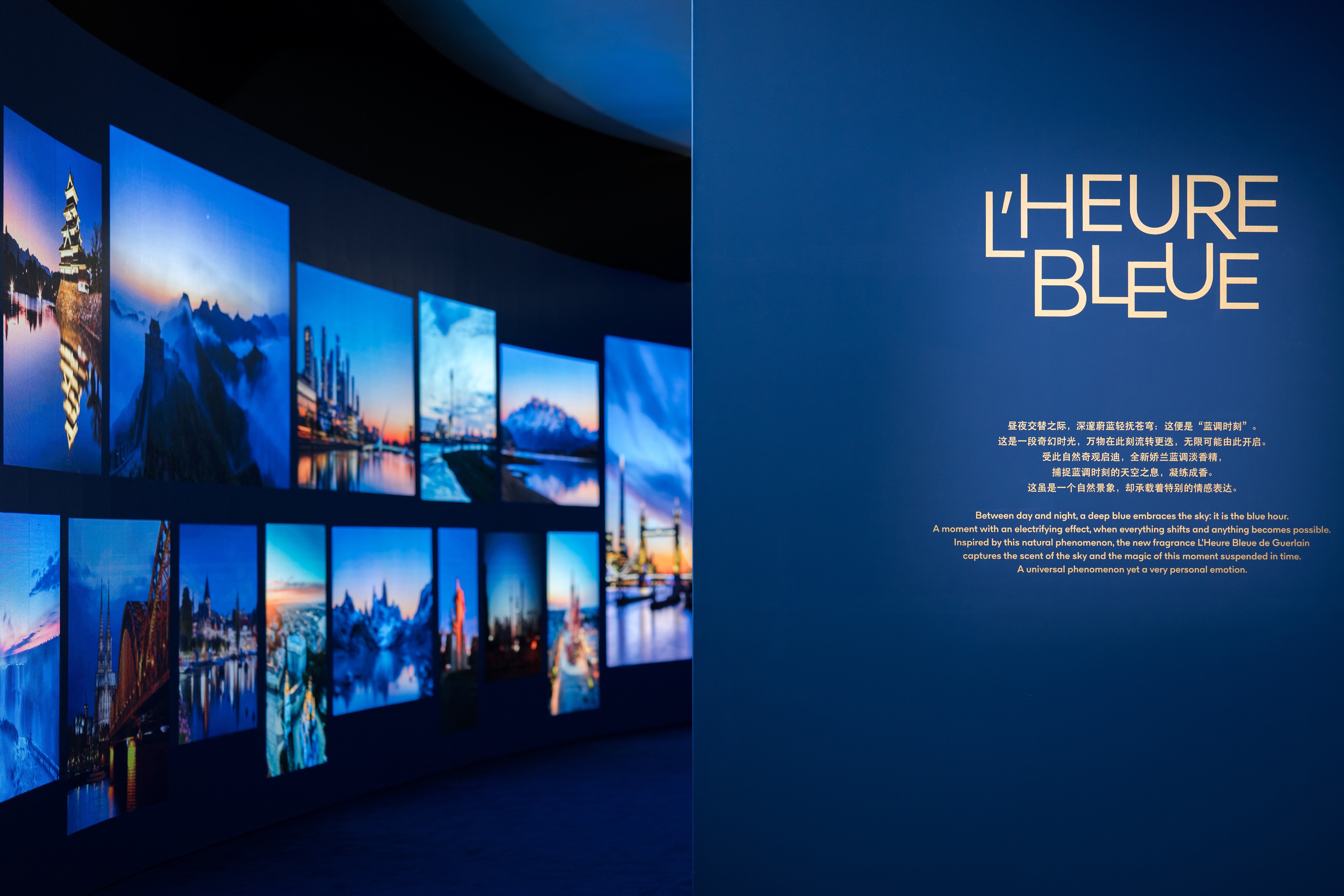 1786977608912796.jpg